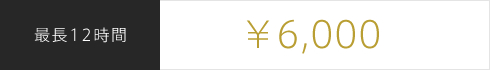 最長12時間 ¥6,000
