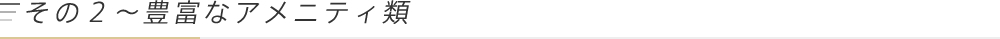 その2〜豊富なアメニティ類